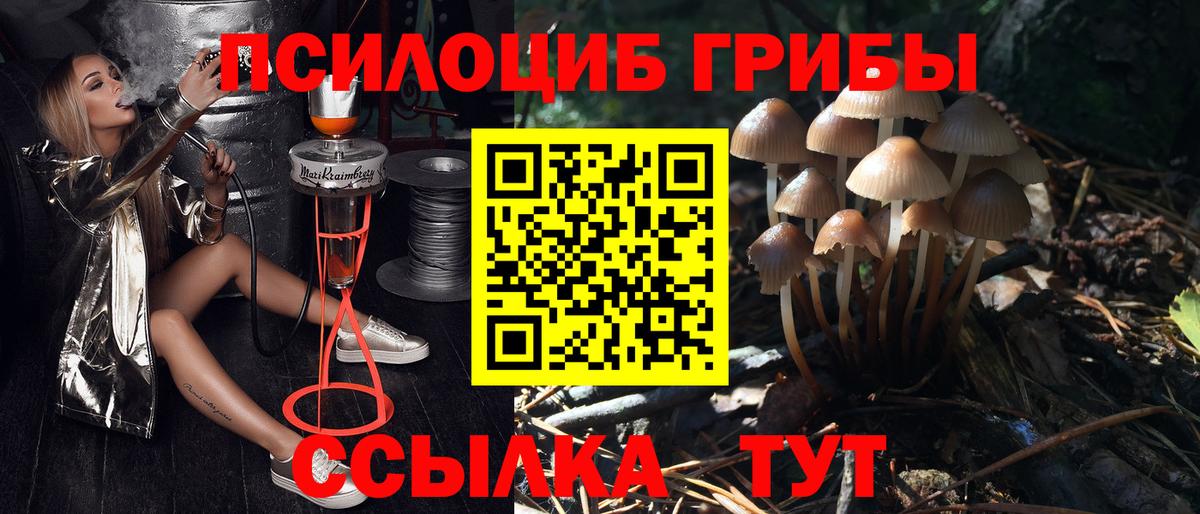 Котовск  Галлюциногенные грибы ЛСД  Вход с VPN  Галлюциногенные грибы Psilocybe 