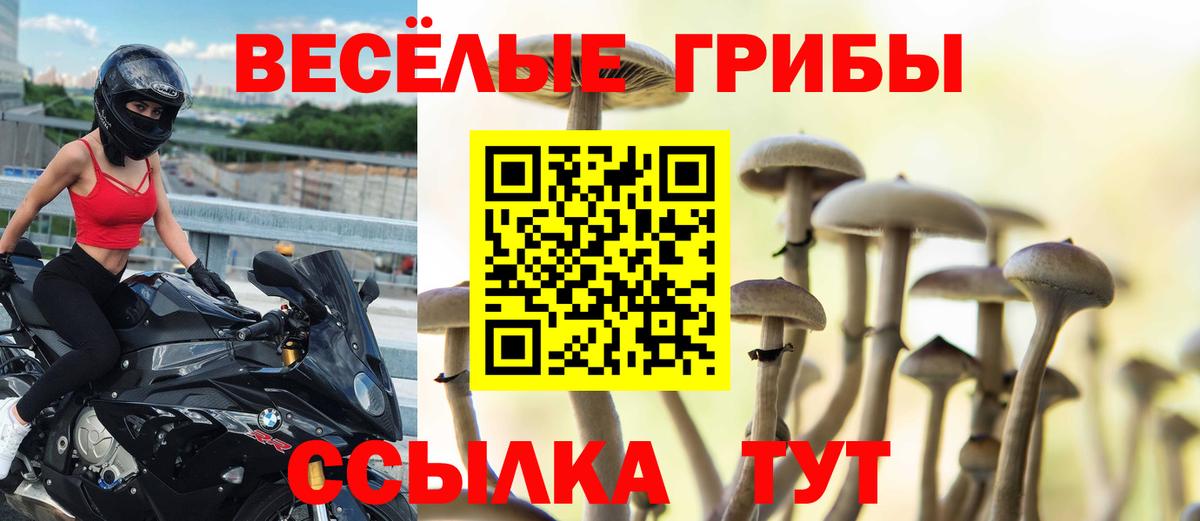 Галлюциногенные грибы Magic Shrooms Котовск